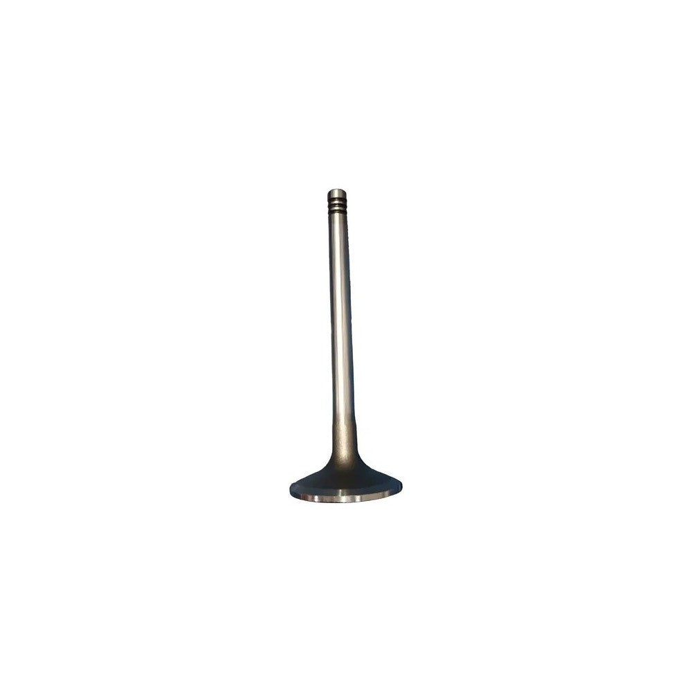 VALVULA DE ADMISION MWM 4.10TCA