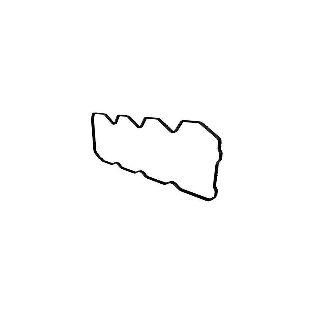 EMPAQUETADURA TAPA VALVULA