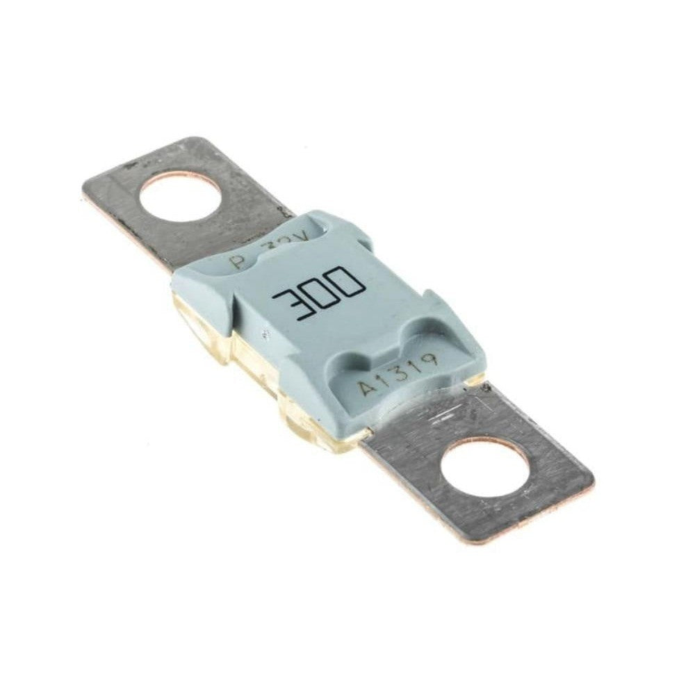 FUSIBLE GENERAL 300AMP
