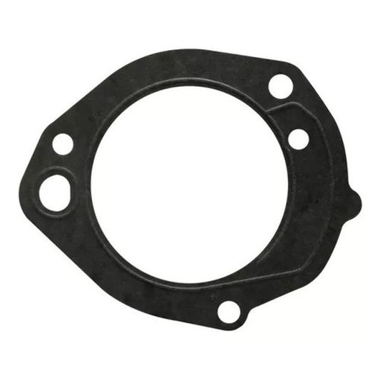 EMPAQUETADURA BOMBA COMBUSTIBLE OM-914/915 ALT