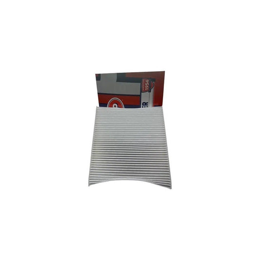 FILTRO POLEN NP 300